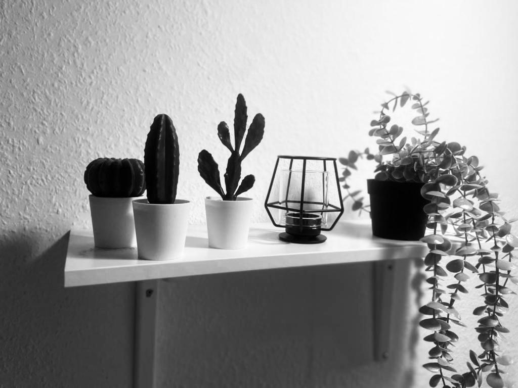 Komfortables Apartment Karlsruhe Dış mekan fotoğraf
